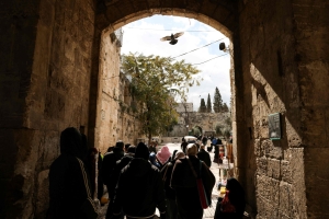 تصريح لمرة واحدة.. وغير مضمون!