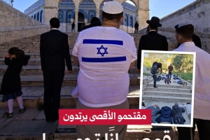 مقتحمو الأقصى يرتدون قمصانًا تحمل علم الاحتلال