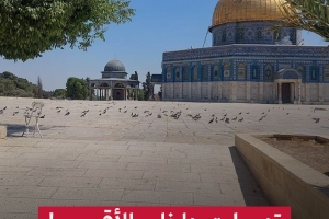 تدريبات داخل الأقصى!