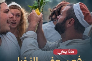 ماذا يعني رفع سعف النخيل في الأقصى؟!