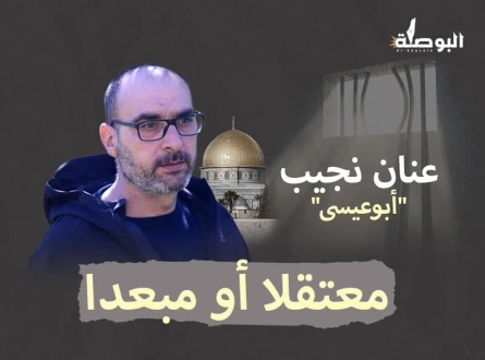 عنان نجيب .. معتقلًا أو مبعدًا