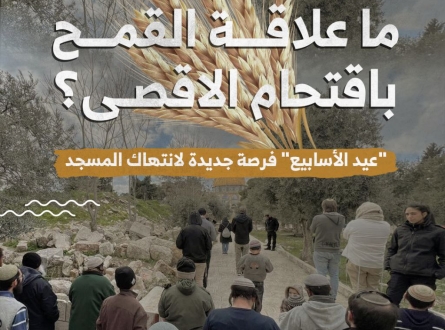 ما علاقة القمح باقتحام الاقصى؟