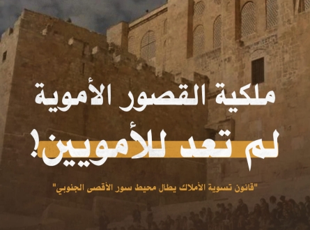 ملكية قصور الأمويين، ليست للأمويين!