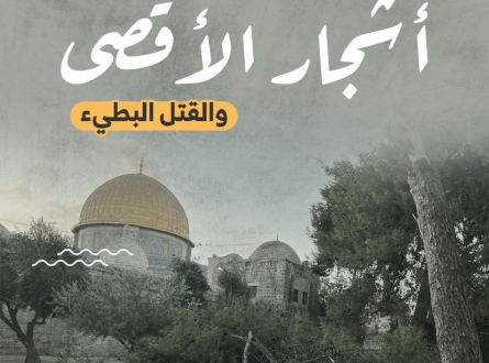 أشجار الأقصى والقتل البطيء