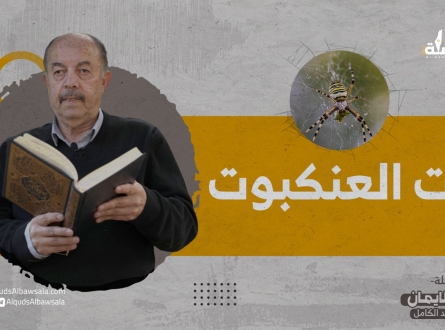 تفسير "وإن أوهن البيوت لبيت العنكبوت" مع الأستاذ المقدسي سامي عبد الكامل