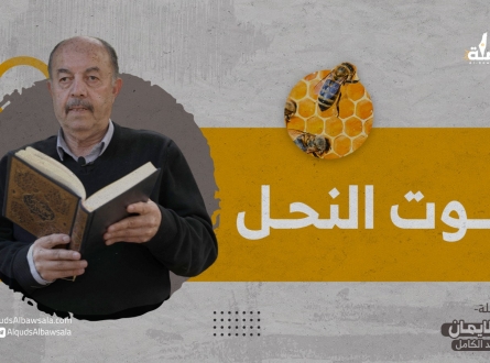 العلم والإيمان - الحلقة الثانية مع الأستاذ سامي عبد الكامل . برنامج العلم والإيمان