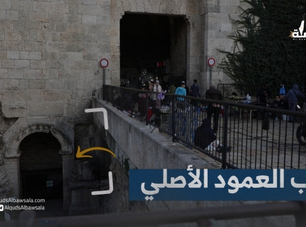 باب العمود الأصلي مع الباحث المقدسي إيهاب الجلاد