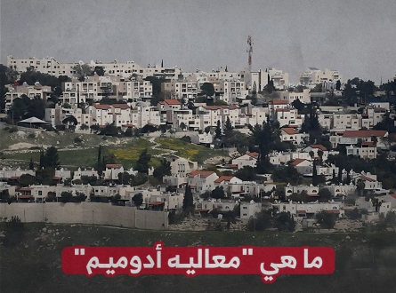 ما هي "معاليه أدوميم" التي اخترق شاب فلسطيني حصونها ؟