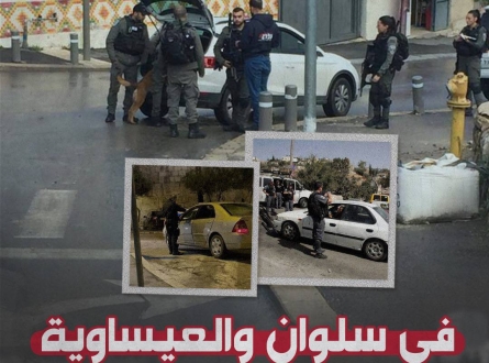 في سلوان والعيساوية.. العقاب الجماعي بشكل يومي