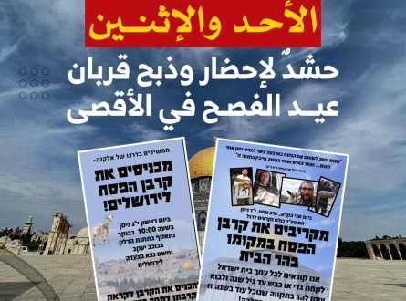 حشد لإحضار وذبح قربان عيد الفصح في الأقصى يومي الأحد والاثنين