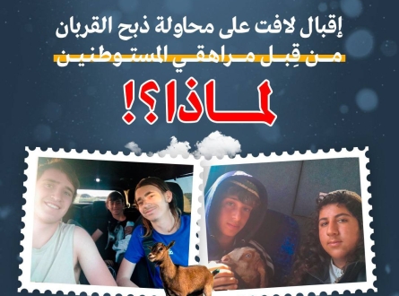 إقبال لافت على محاولات ذبح القربان من قبل مراهقي المستوطنين