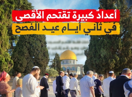 قفزة كبيرة في أعداد مقتحمي الأقصى في ثاني أيام عيد الفصح العبري