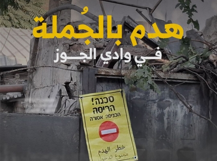 هدم بالجُملة في وادي الجوز