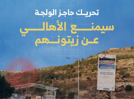 تحريك حاجز الولجة سيمنع الأهالي عن زيتونهم