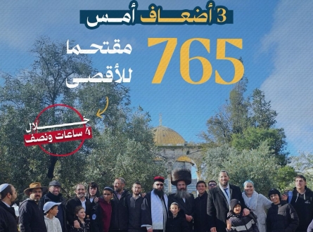 تضاعف مقتحمي الأقصى بشكل يومي