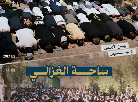 ساحة الغزالي..بين الأمس واليوم