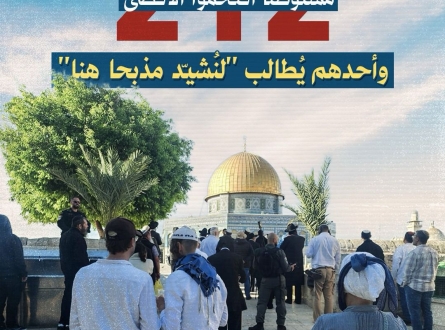 212 مستوطنا اقتحموا الأقصى