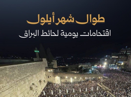 طوال شهر أيلول.. اقتحامات يومية لحائط البراق