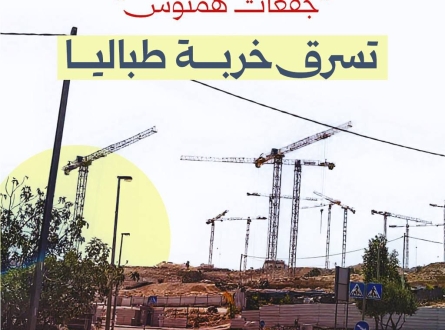 جفعات همتوس تسرق خربة طباليا