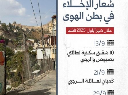 سُعار الإخلاء يُهدد بطن الهوى