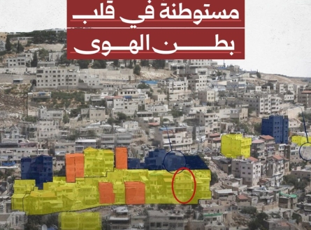 مستوطنة في قلب بطن الهوى