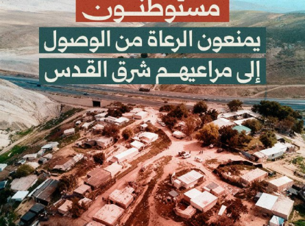 مستوطنون يمنعون الرعاة من الوصول لمراعيهم شرق القدس