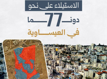 الاستيلاء على نحو 77 دونما في العيسوية