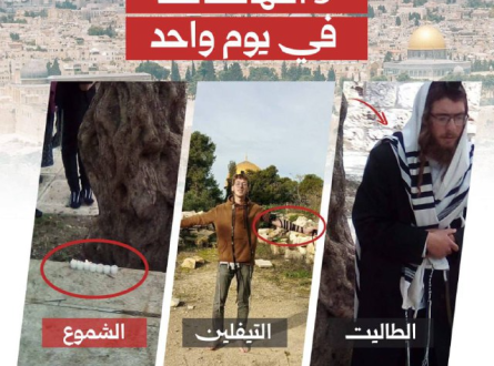 3 انتهاكات في يوم واحد في الأقصى