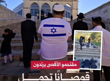 مقتحمو الأقصى يرتدون قمصانًا تحمل علم الاحتلال