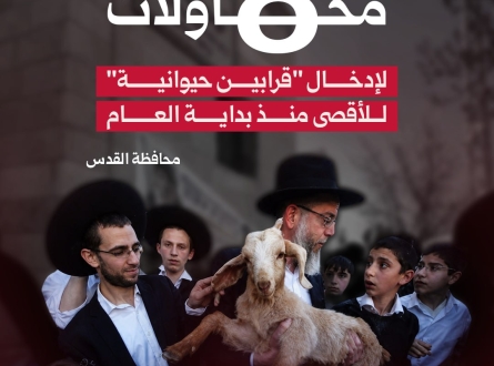 8 محاولات لإدخال "قرابين حيوانية" للأقصى منذ بداية العام