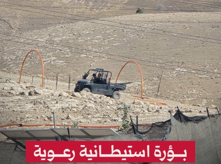 بؤرة استيطانية رعوية جديدة شمال القدس