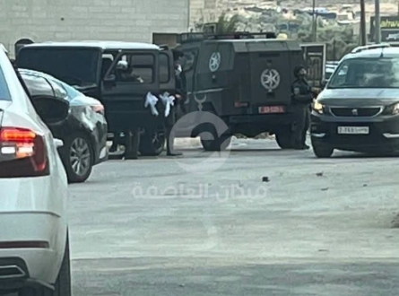 نكدوا عليهم!